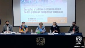 El-Movimiento-por-los-Derechos-de-los-Pueblos-Indigenas-Reconocimiento-y-Justicia