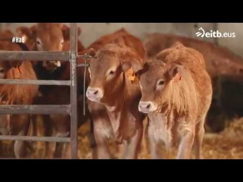 Mejores-restaurantes-en-Arraia-Maeztu