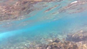 Playa-de-Pocillos-Lanzarote-Islas-Canarias