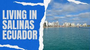 Vivir-en-Salinas