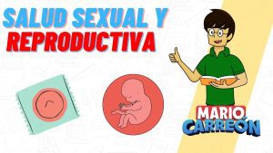 El-impacto-de-la-tecnologia-en-la-educacion-sexual-y-la-salud-reproductiva