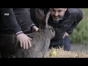 Mejores-restaurantes-en-Okondo