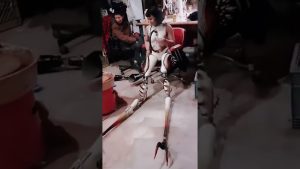 Robotica-en-Accion-Avances-y-Aplicaciones-en-el-Mundo-Real