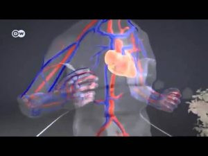 TechFitness-Tecnologia-para-Mejorar-tu-Salud-y-Estado-Fisico