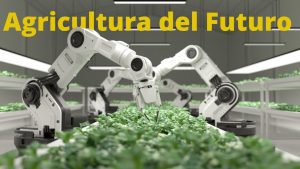 Como-la-inteligencia-artificial-esta-transformando-la-gestion-de-recursos-naturales-en-la-agricultura