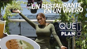 Mejores-restaurantes-en-Viveros
