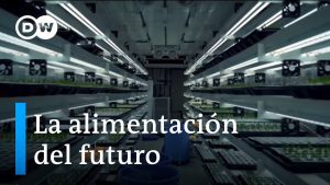 TechFood-Innovaciones-Tecnologicas-en-la-Industria-Alimentaria