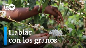 Como-la-inteligencia-artificial-esta-transformando-la-gestion-de-recursos-naturales-en-la-agricultura