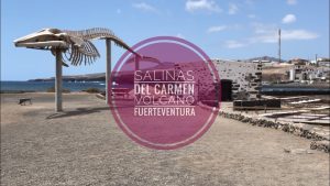 Mejores-restaurantes-en-Salinas