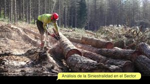 Convenios Laborales y Trabajo en el Sector Forestal: Protecciones y Limitaciones