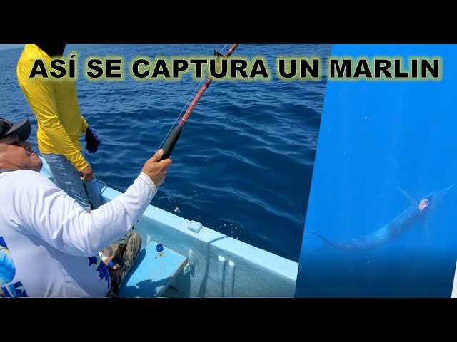 Vivir-en-Marlin