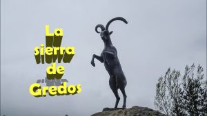Vivir en Navarredonda de Gredos
