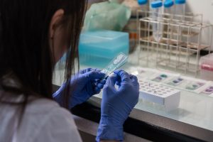 laboratorio - IP