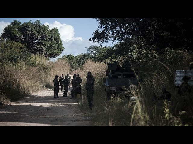 opositar-en-Mozambique