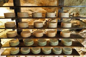 Cabrales cheese in a cave