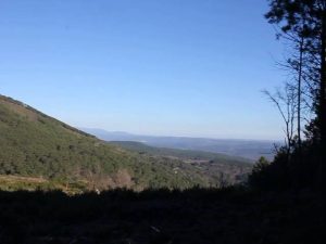 Vivir en Poyales del Hoyo