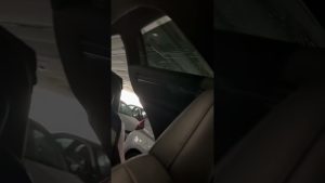 Conducir con Estilo: Opciones de Personalización del Model X