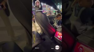 Diseño Tesla: Filosofía Estética Reflejada en el Model X