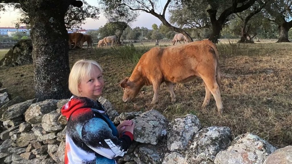 Vivir en Bodonal de la Sierra