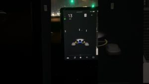 Desafíos con el Modelo 3 Standard Range Plus: Problemas y Reclamos