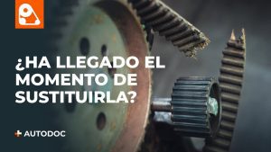 Problemas de Desgaste de la Correa de Distribución: Evaluación de Componentes del Motor