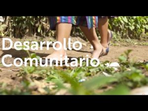 Beneficios de vivir en comunidades con bajos niveles de contaminación