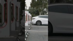Más Allá del Coche: Proyectos Innovadores Relacionados con el Model Y