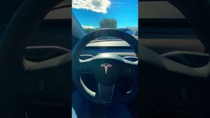Model Y y la Competencia en el Circuito: Desafiando Límites