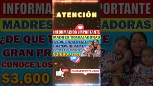 Cómo elegir un lugar con acceso a programas de bienestar para la familia