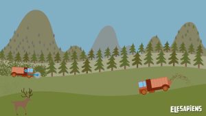 Cómo la vida en el campo promueve la sostenibilidad familiar