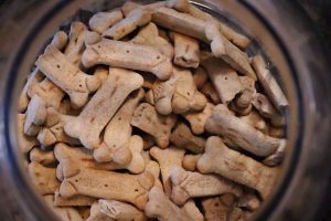 snacks naturales para perros - IP (1)