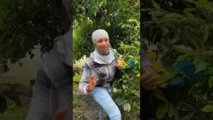 Cómo la vida en el campo ofrece mayor seguridad para la familia