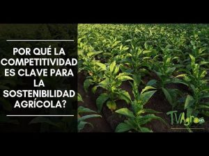 Cómo la proximidad a áreas agrícolas mejora la competitividad