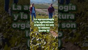 Cómo la proximidad a áreas de cultivo ecológico favorece la producción