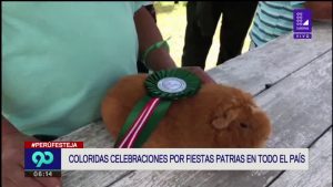 cómo se promueven las costumbres tradicionales en Cómo se celebran las fiestas patrias en países hispanoamericanos