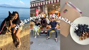 cómo implementar iniciativas para conservar Cómo el Día de la Raza ha sido resignificado en diferentes países