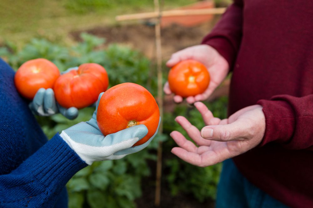 733138 - Transagro Almazán | Diario Digital XXI 733138 - Transagro Almazán